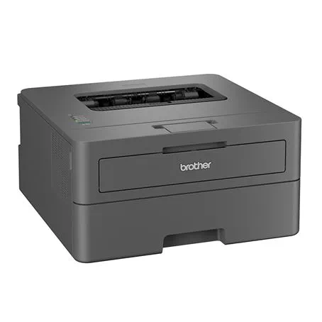 Brother HL-L2400D Monochrome Laser Duplex Printer